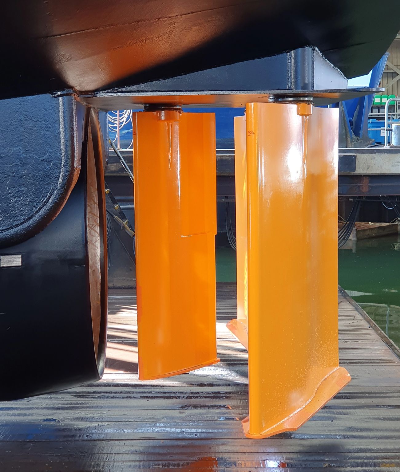 Oranjekoorts bij De Waal